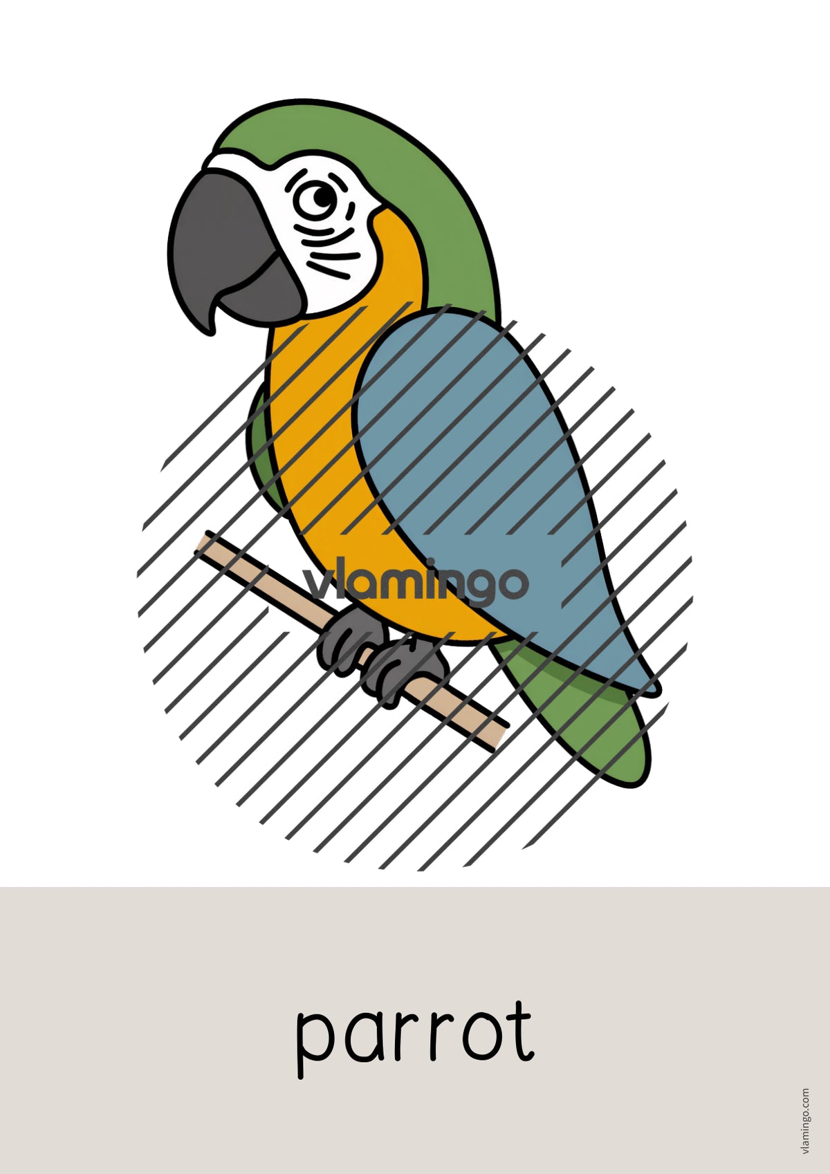 de englisch pets word and picture cards 013
