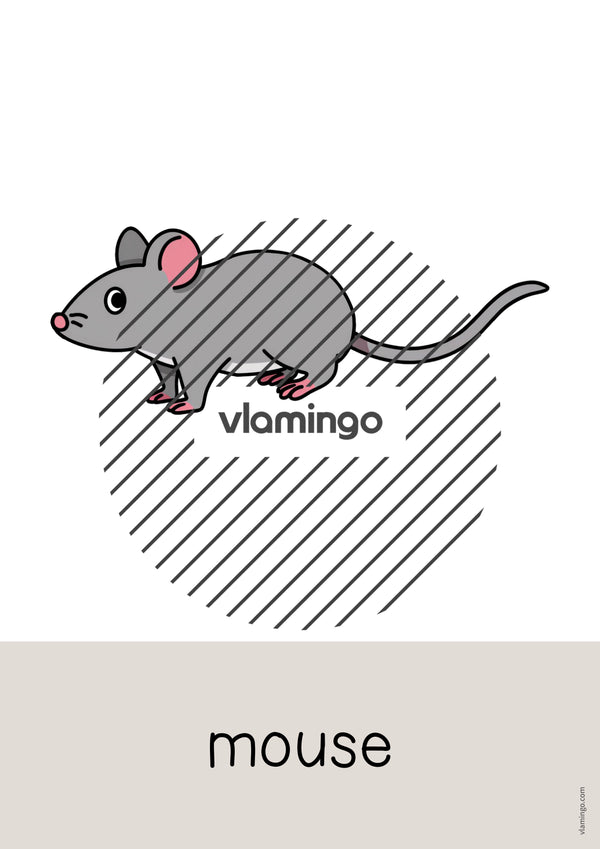 de englisch pets word and picture cards 014