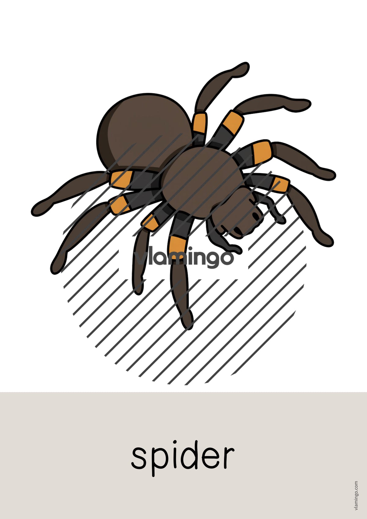 de englisch pets word and picture cards 015