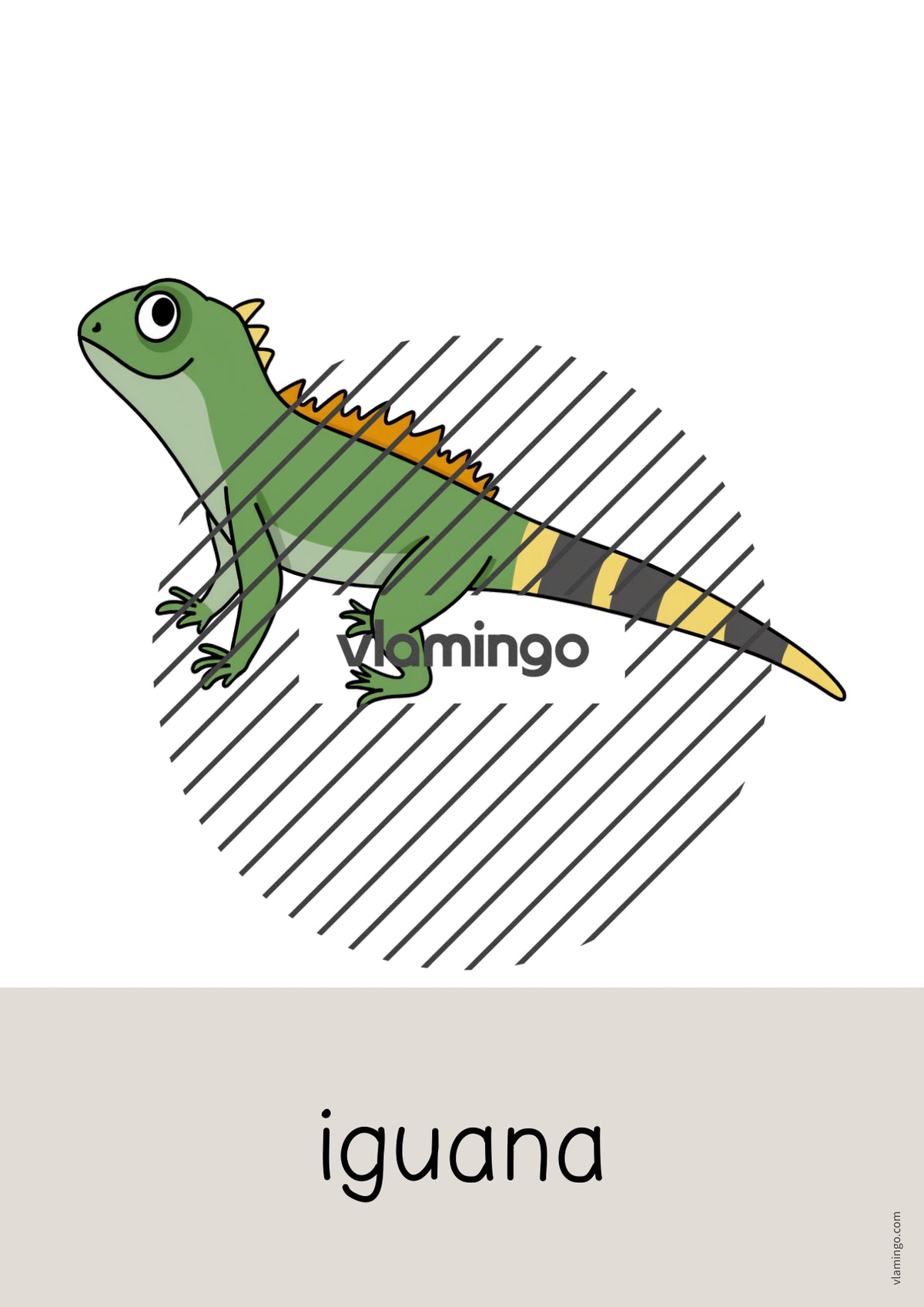 de englisch pets word and picture cards 020