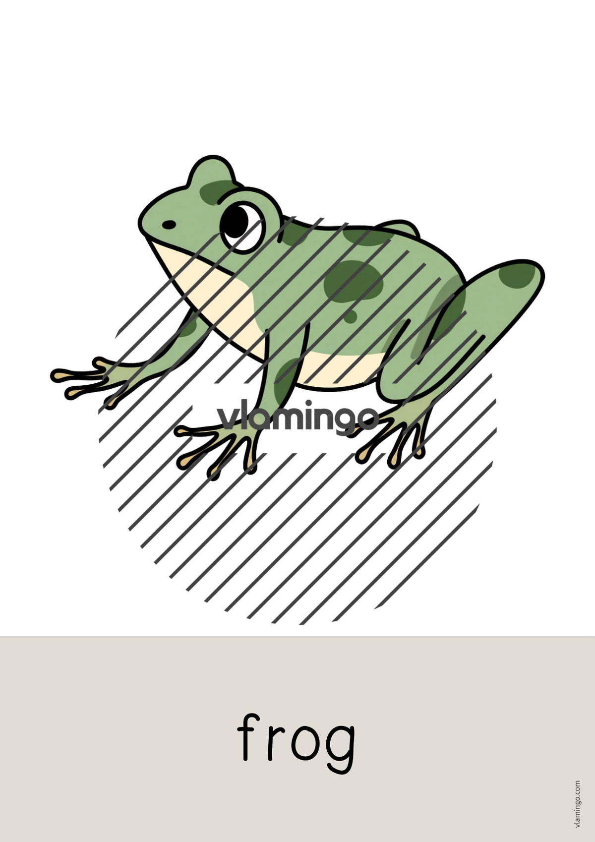 de englisch pets word and picture cards 022