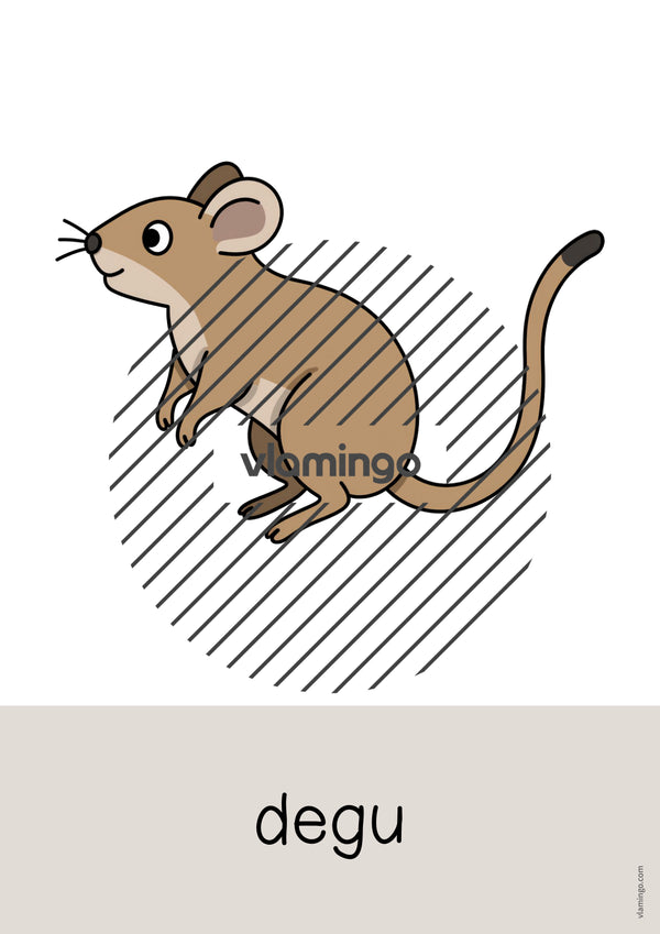 de englisch pets word and picture cards 025