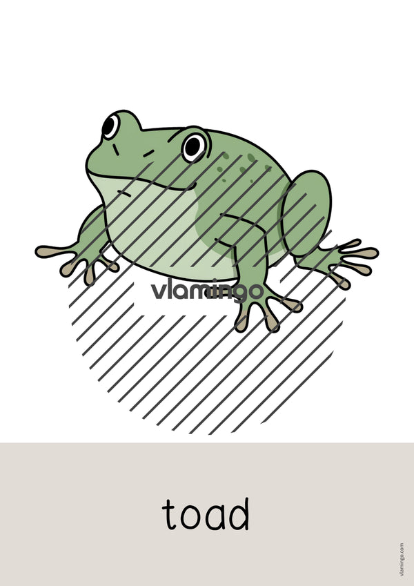de englisch pets word and picture cards 028