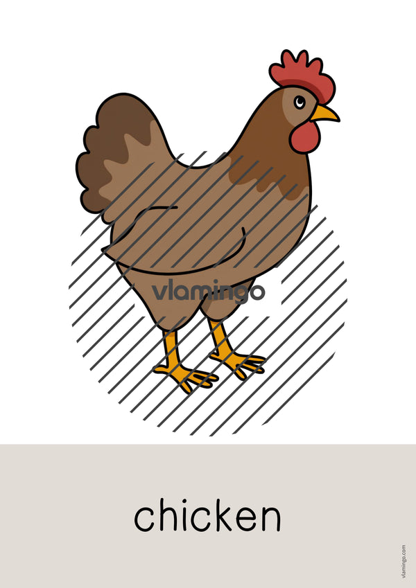de englisch pets word and picture cards 029