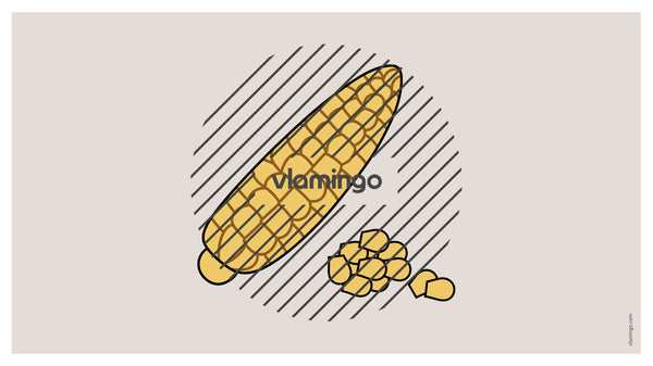 de englisch pizza vocabulary fitness powerpoint 018