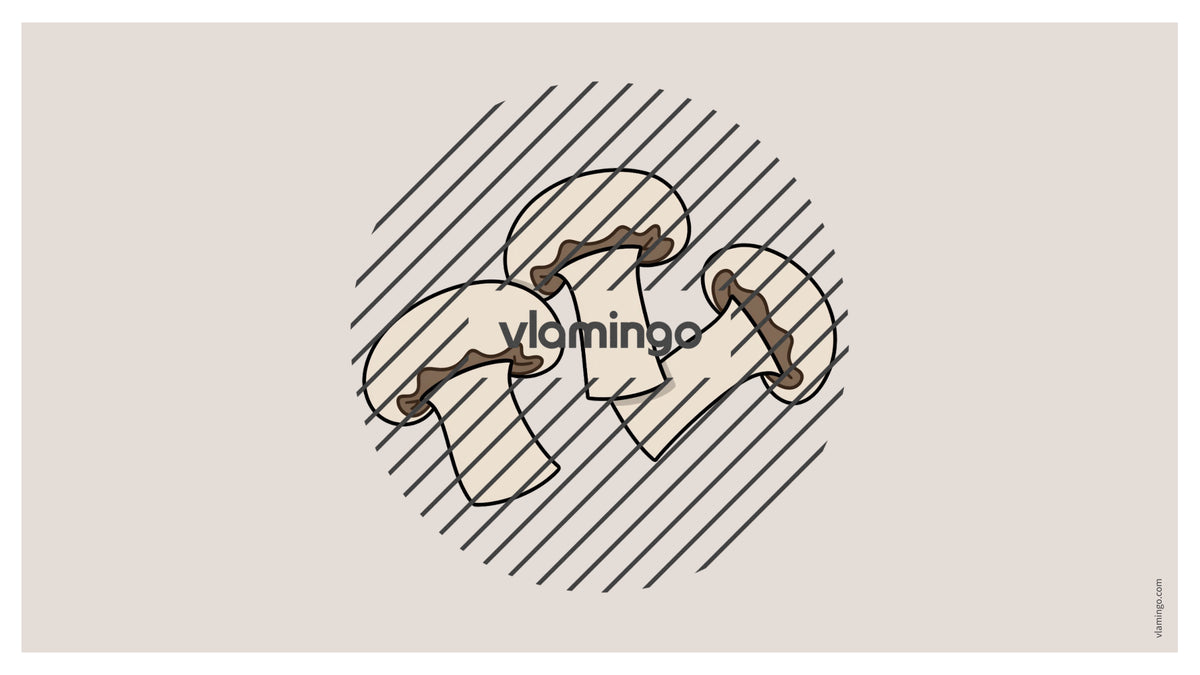 de englisch pizza vocabulary fitness powerpoint 021