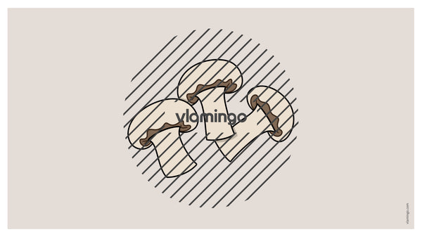 de englisch pizza vocabulary fitness powerpoint 021
