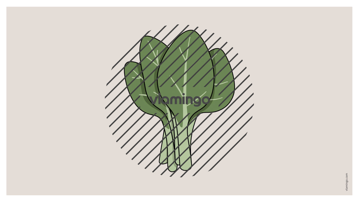 de englisch pizza vocabulary fitness powerpoint 022