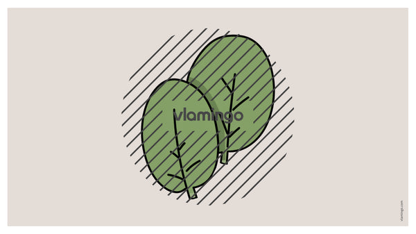 de englisch pizza vocabulary fitness powerpoint 028