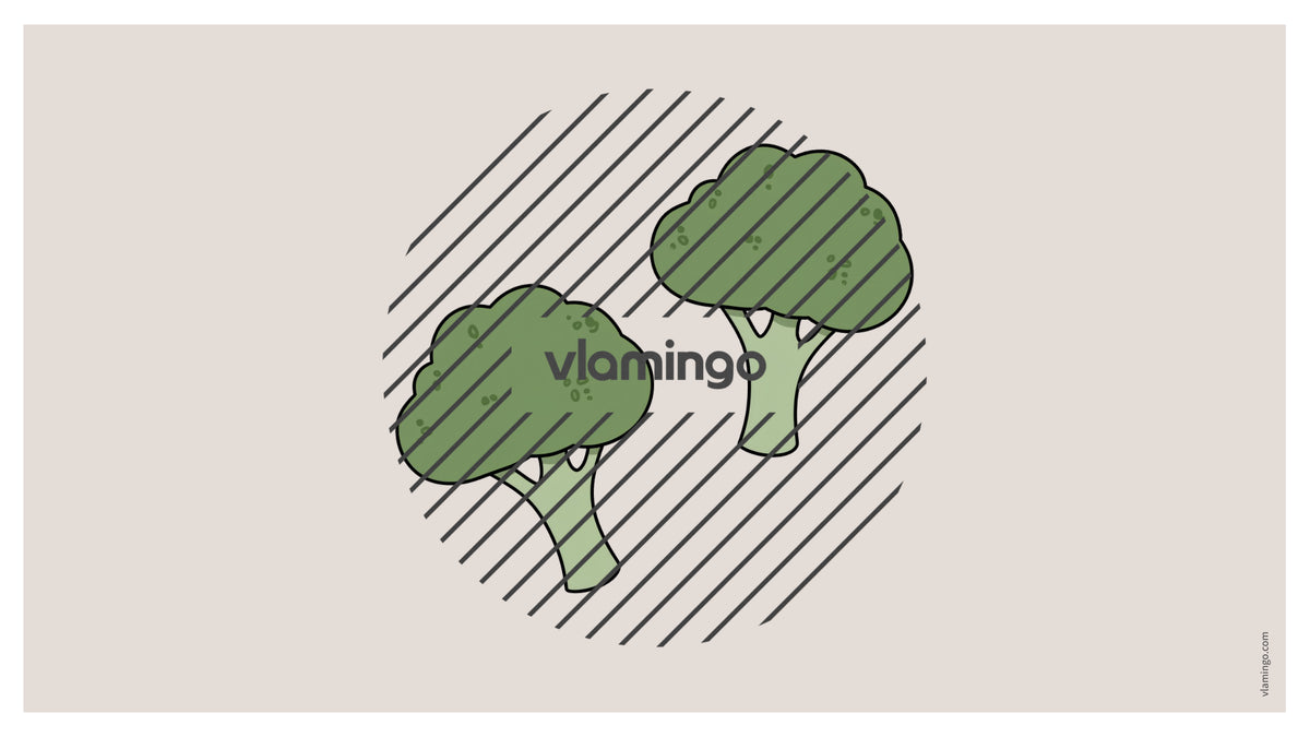 de englisch pizza vocabulary fitness powerpoint 032