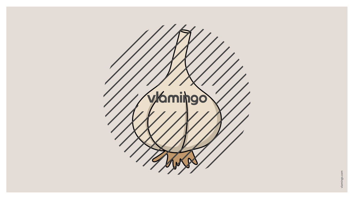 de englisch pizza vocabulary fitness powerpoint 033