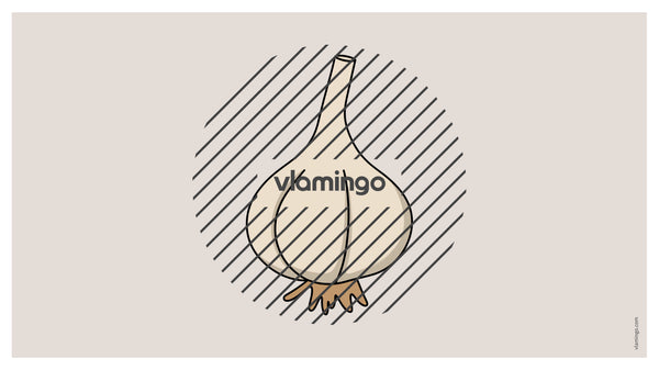de englisch pizza vocabulary fitness powerpoint 033