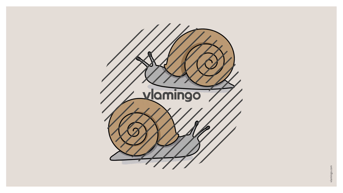 de englisch pizza vocabulary fitness powerpoint 045