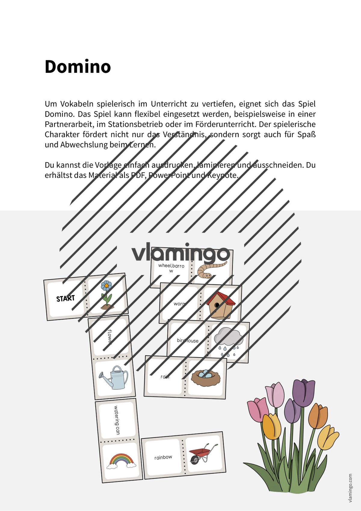 de englisch spring domino 002