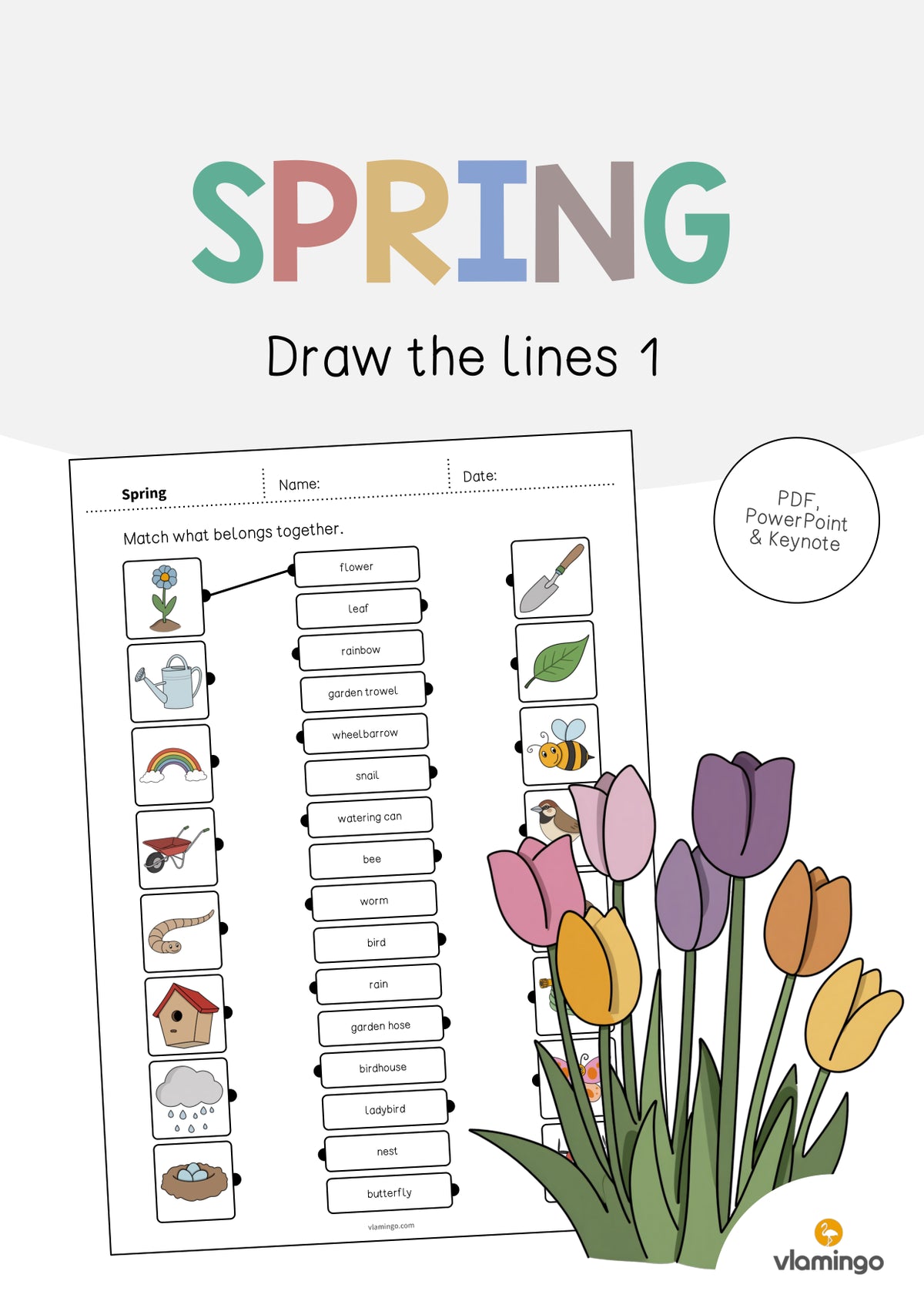 de englisch spring draw the lines 1 001