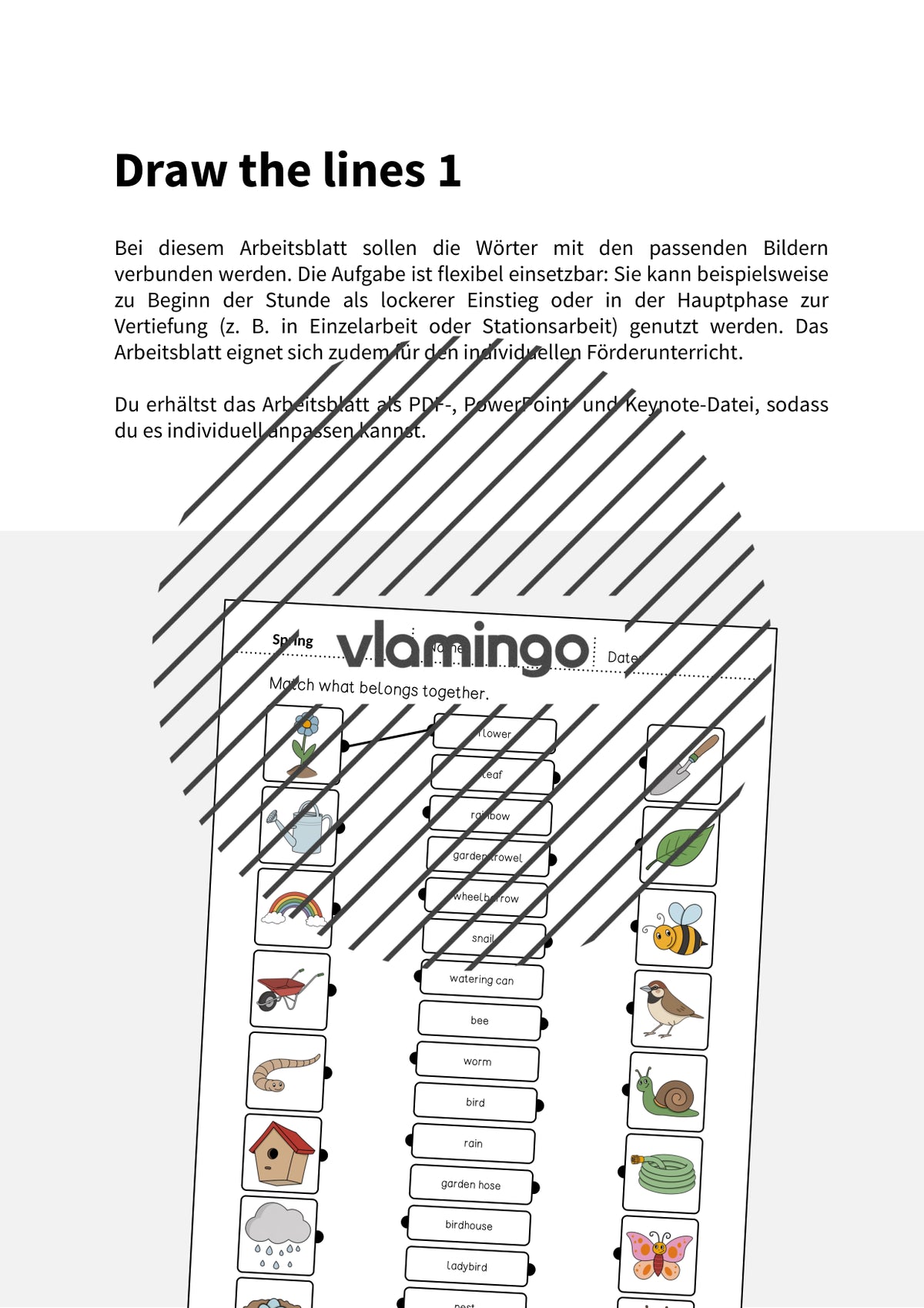 de englisch spring draw the lines 1 002