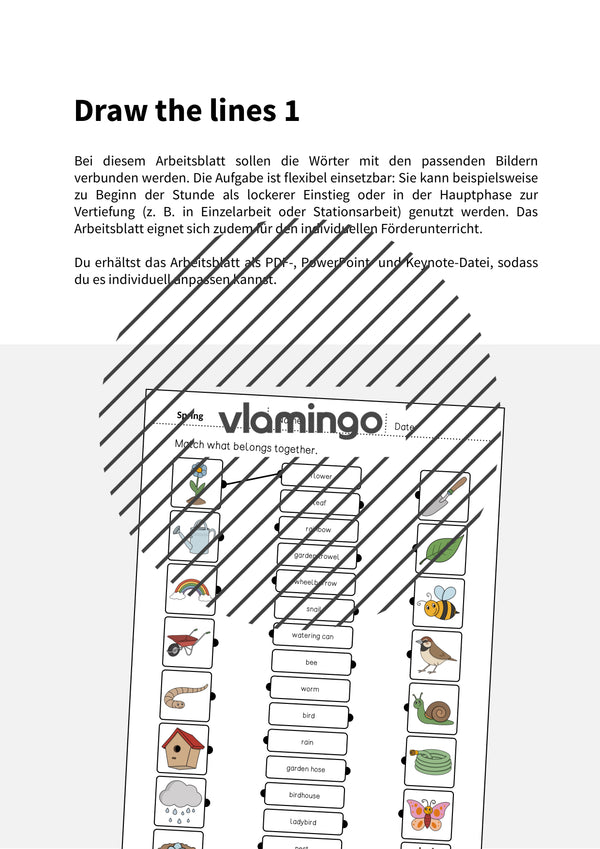 de englisch spring draw the lines 1 002