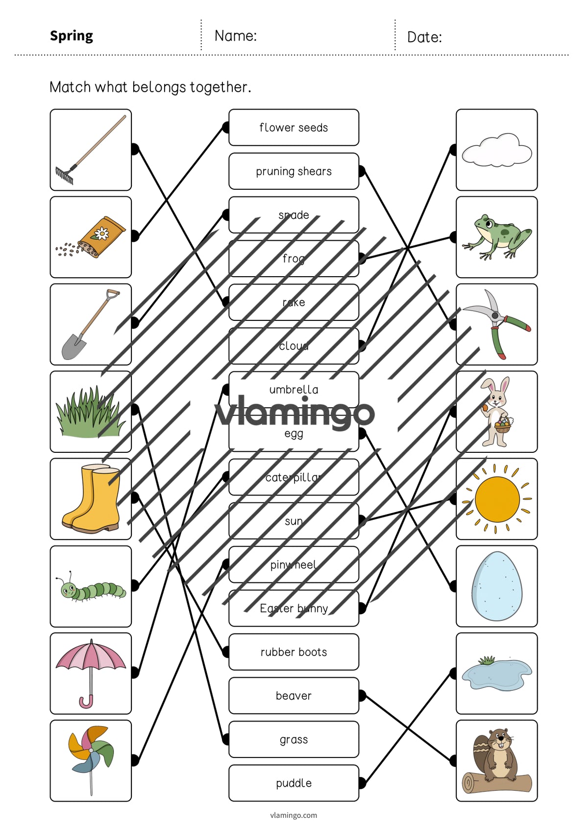 de englisch spring draw the lines 1 007