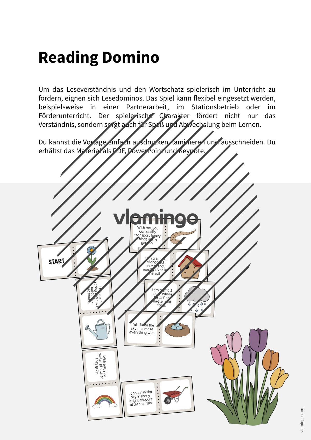 de englisch spring reading domino 002