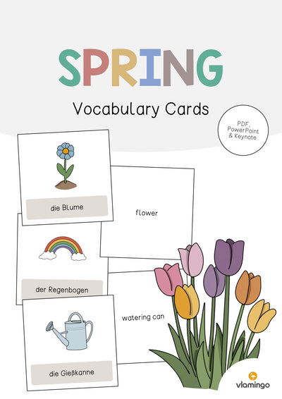 Spring / Frühling: Vocabulary Cards (Englisch)