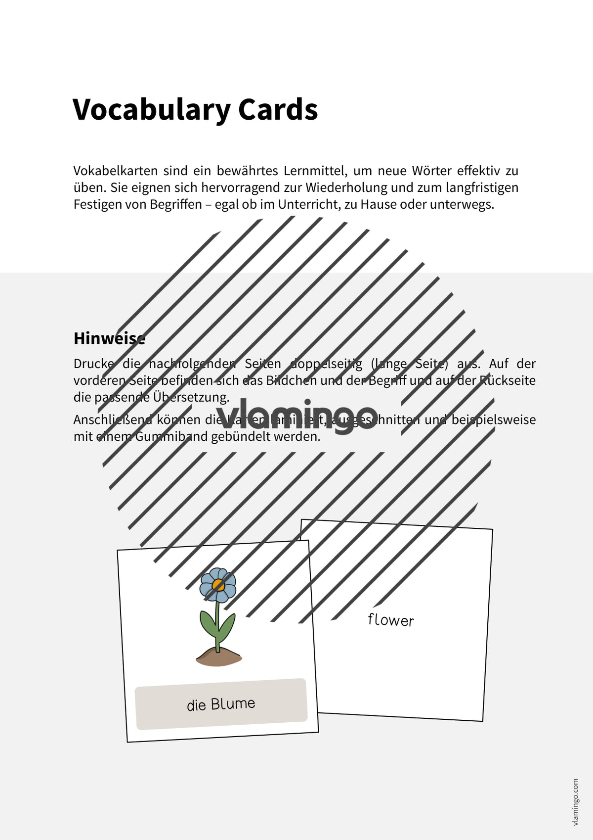 de englisch spring vocabulary cards 002