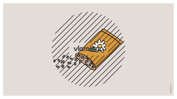 de englisch spring vocabulary fitness powerpoint 026