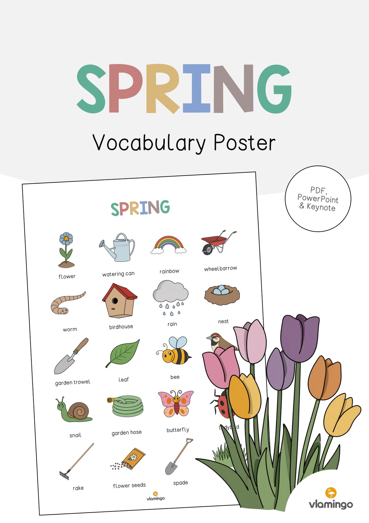 de englisch spring vocabulary poster 001