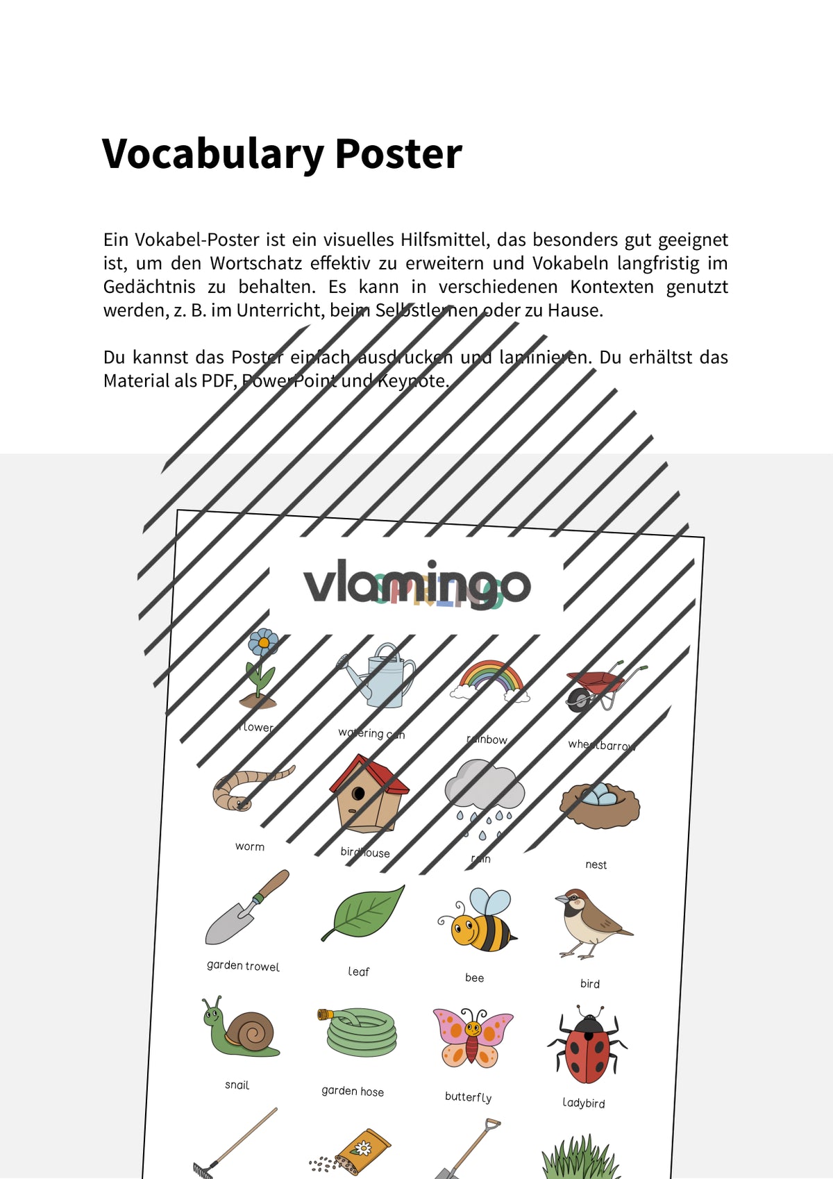 de englisch spring vocabulary poster 002