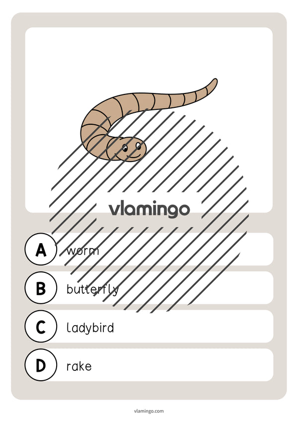 de englisch spring vocabulary quiz 013