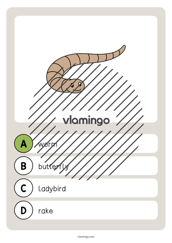 de englisch spring vocabulary quiz 014