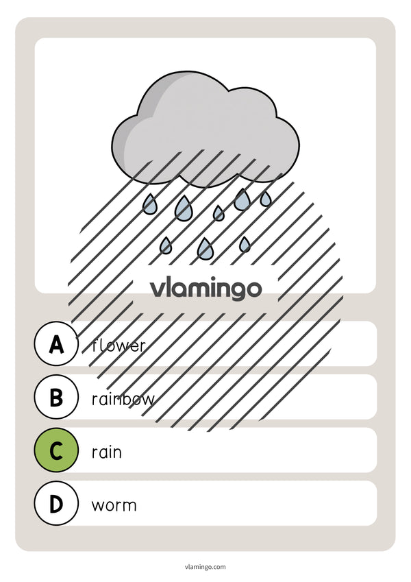 de englisch spring vocabulary quiz 018