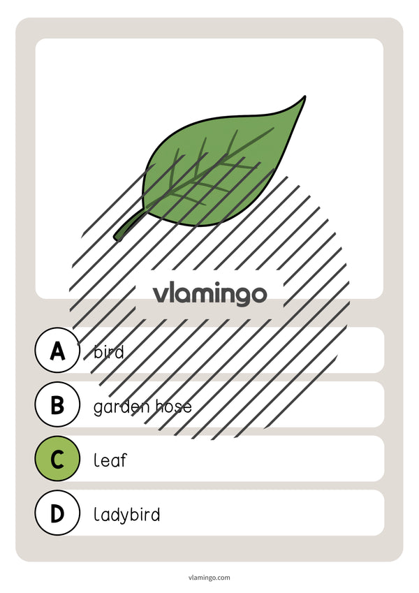 de englisch spring vocabulary quiz 024