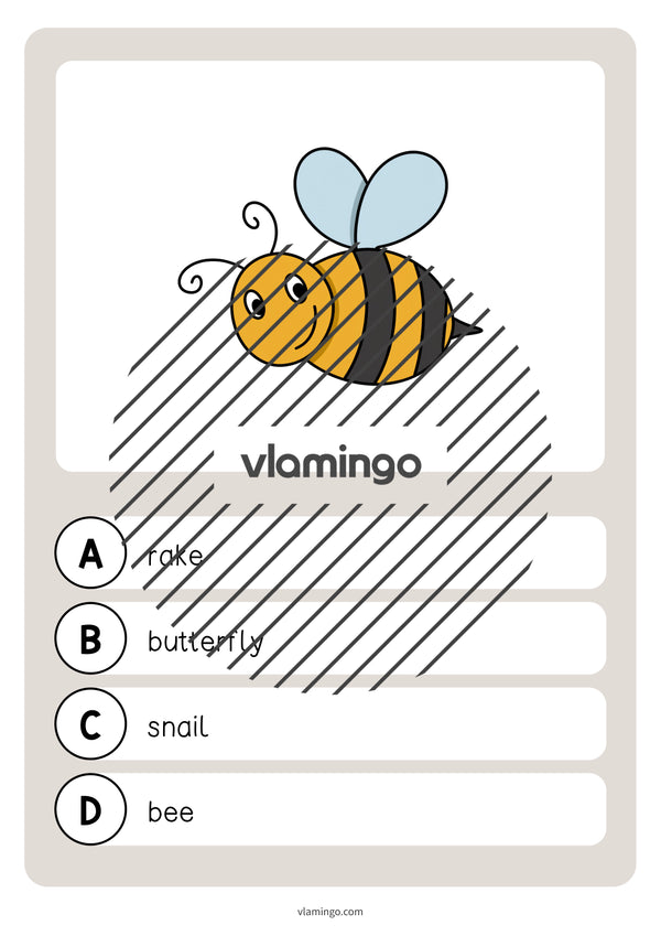 de englisch spring vocabulary quiz 025