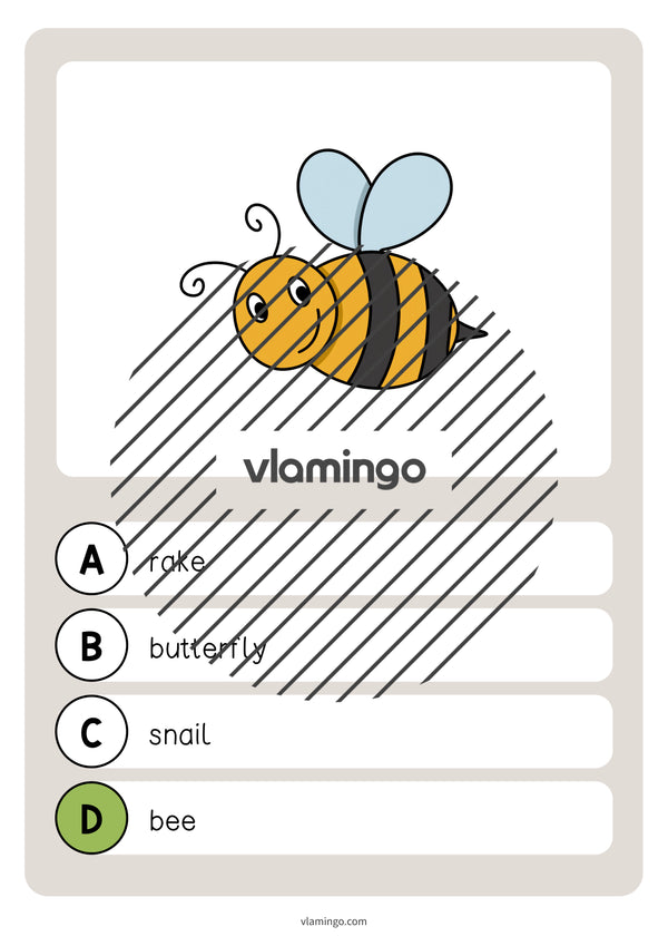 de englisch spring vocabulary quiz 026