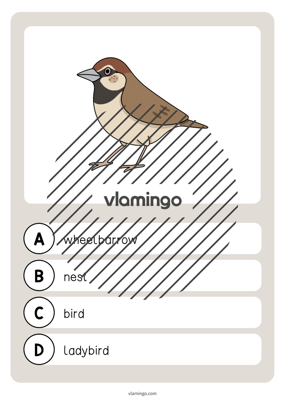 de englisch spring vocabulary quiz 027