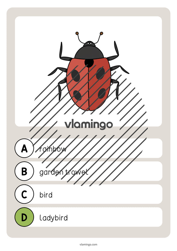 de englisch spring vocabulary quiz 036