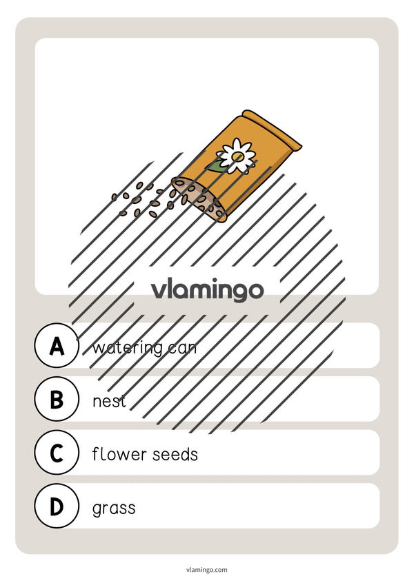 de englisch spring vocabulary quiz 039