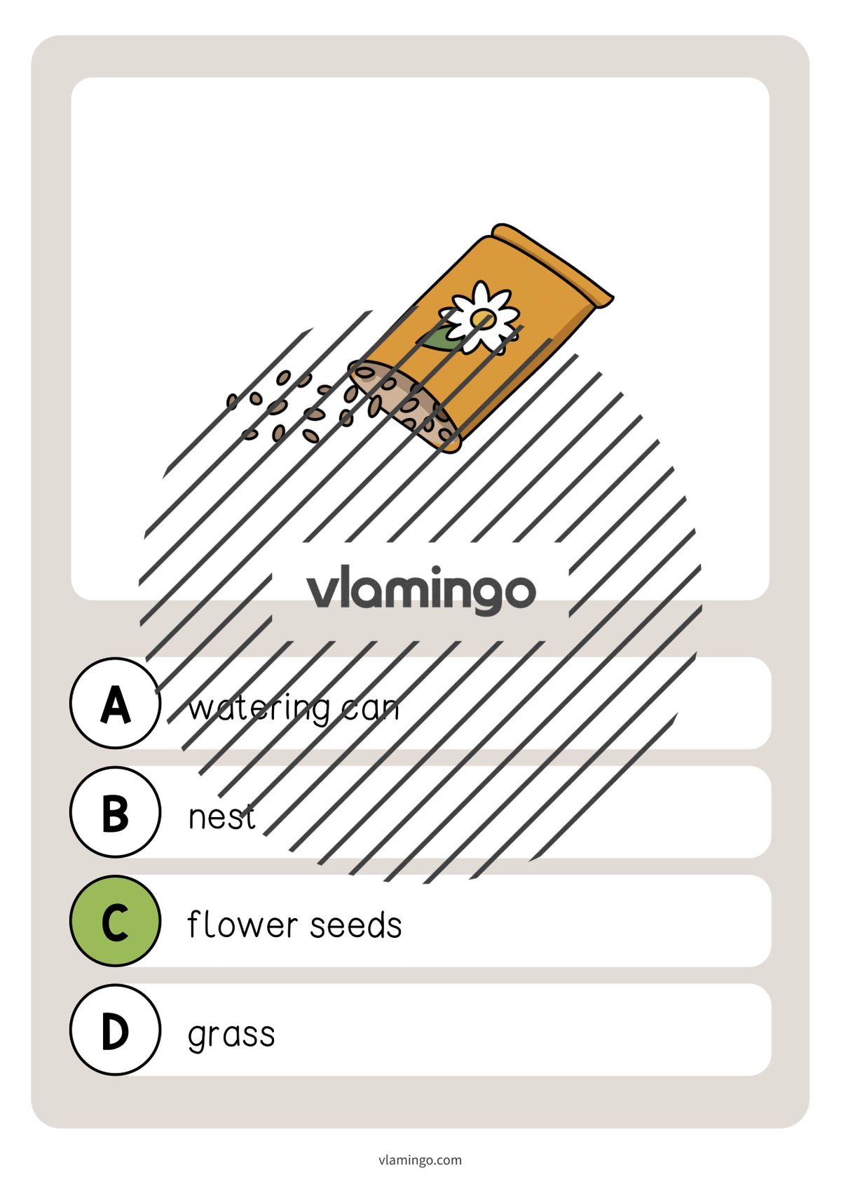 de englisch spring vocabulary quiz 040