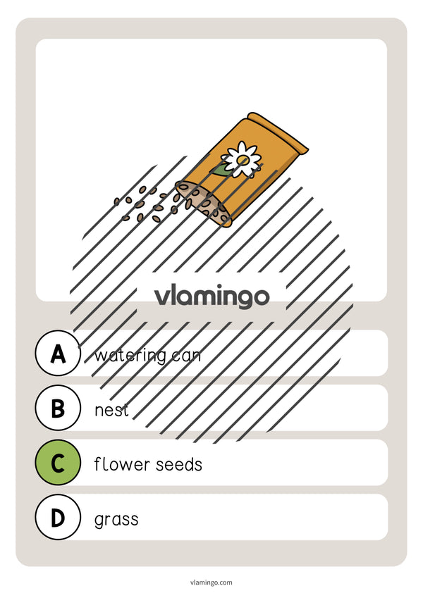 de englisch spring vocabulary quiz 040