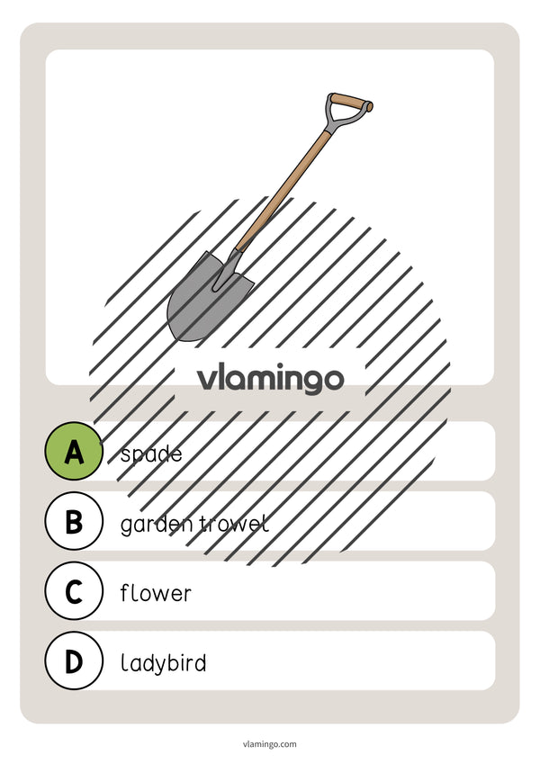 de englisch spring vocabulary quiz 042