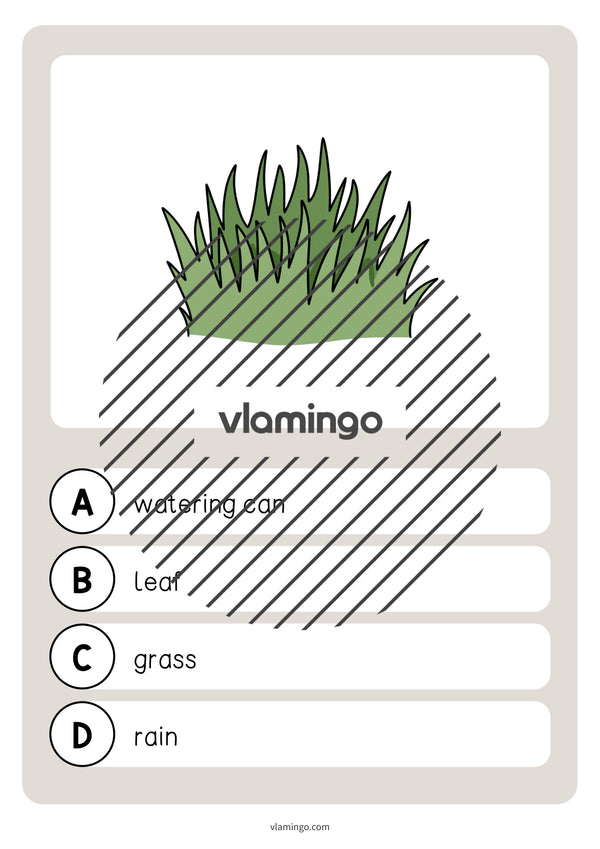 de englisch spring vocabulary quiz 043