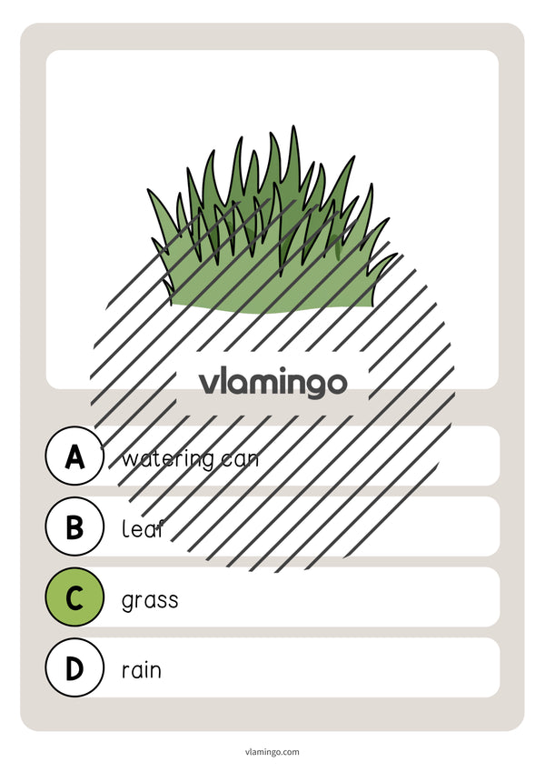 de englisch spring vocabulary quiz 044
