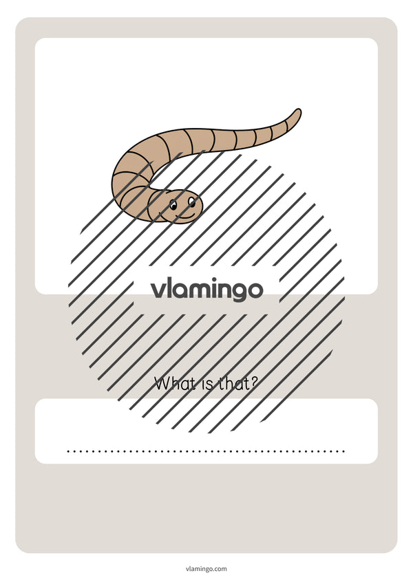de englisch spring vocabulary quiz 054