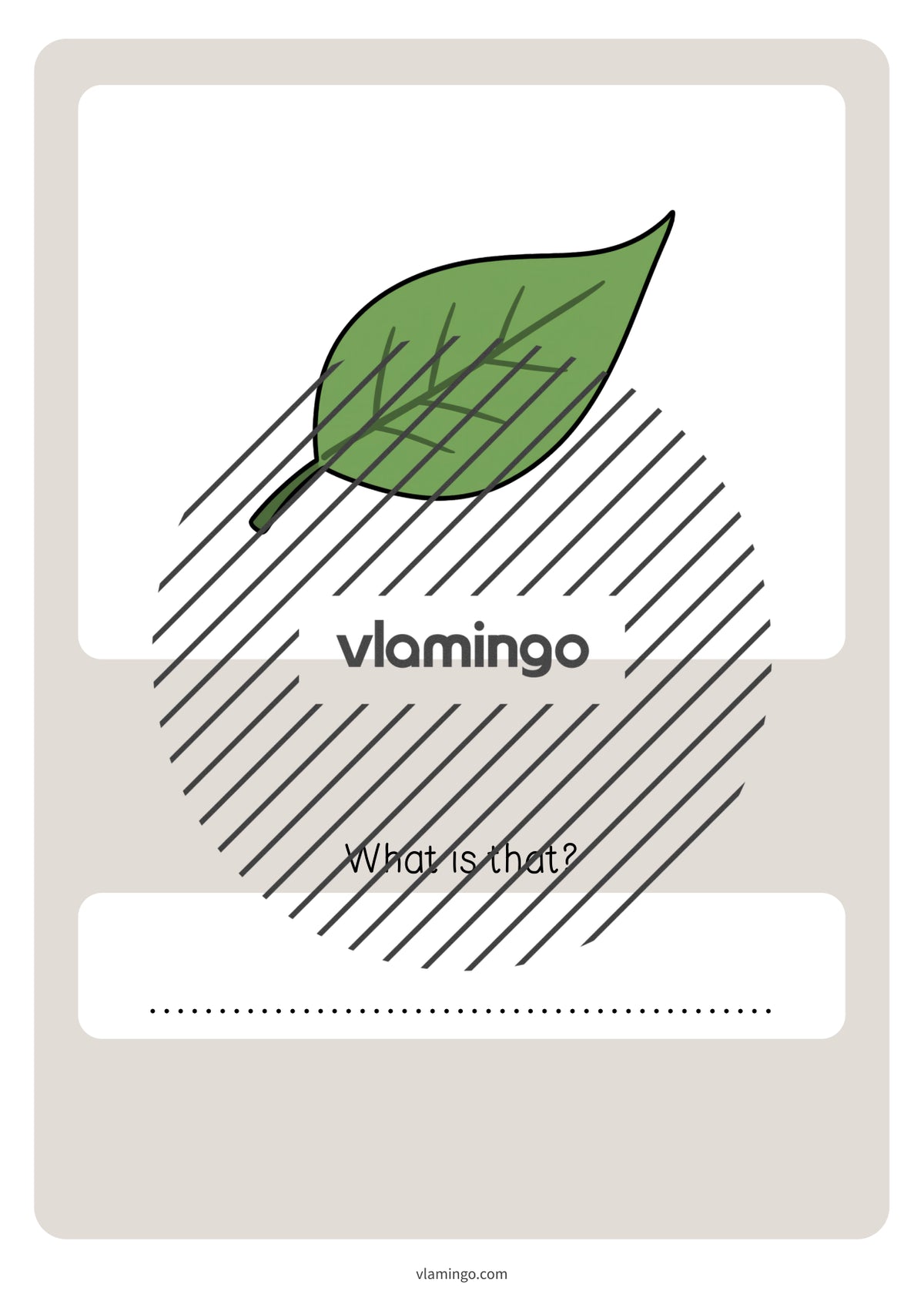 de englisch spring vocabulary quiz 064