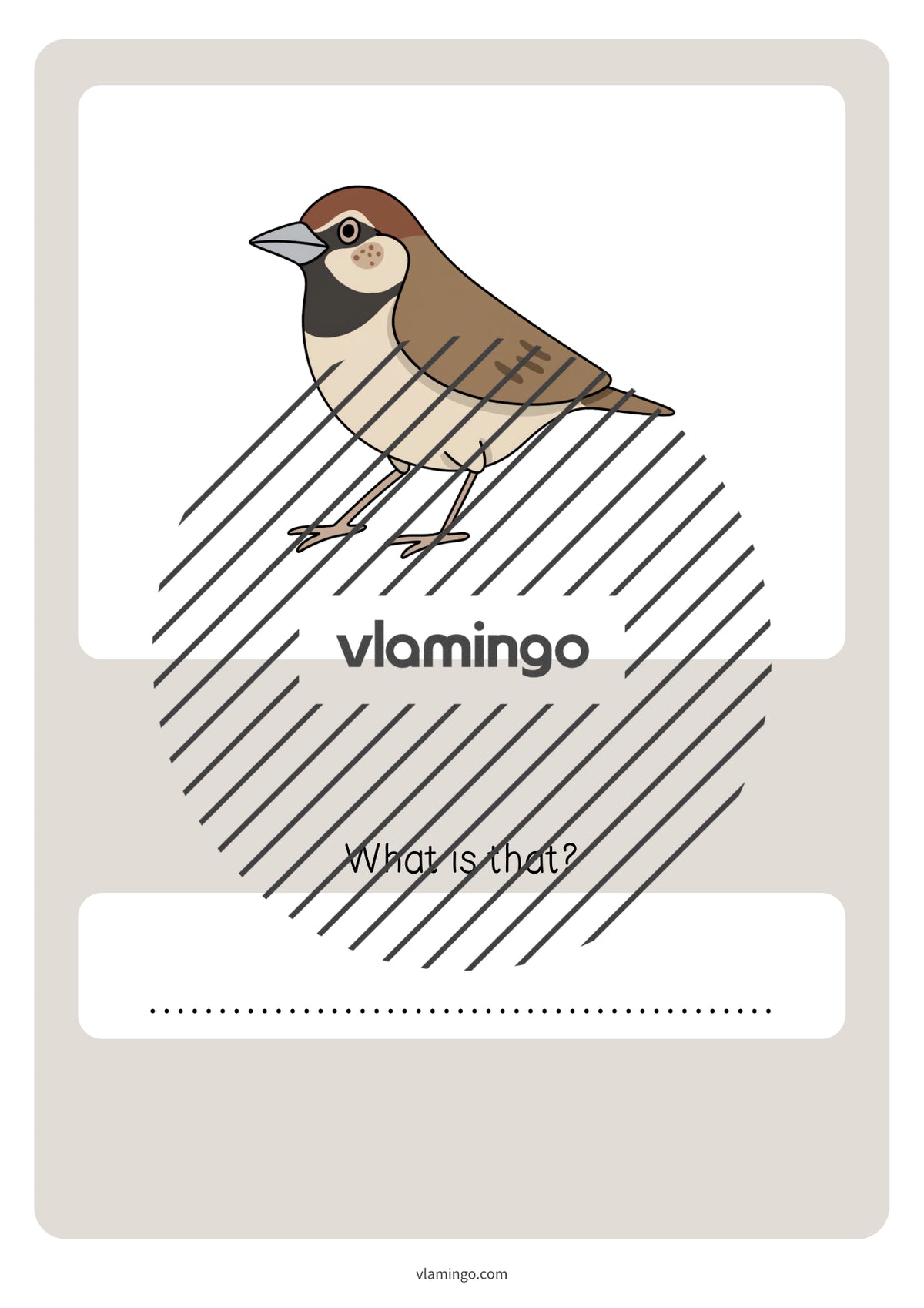 de englisch spring vocabulary quiz 068