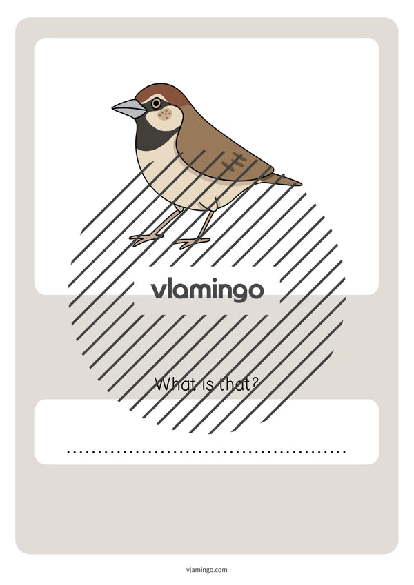 de englisch spring vocabulary quiz 068