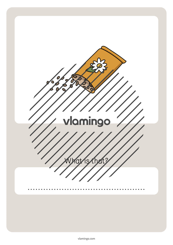 de englisch spring vocabulary quiz 080