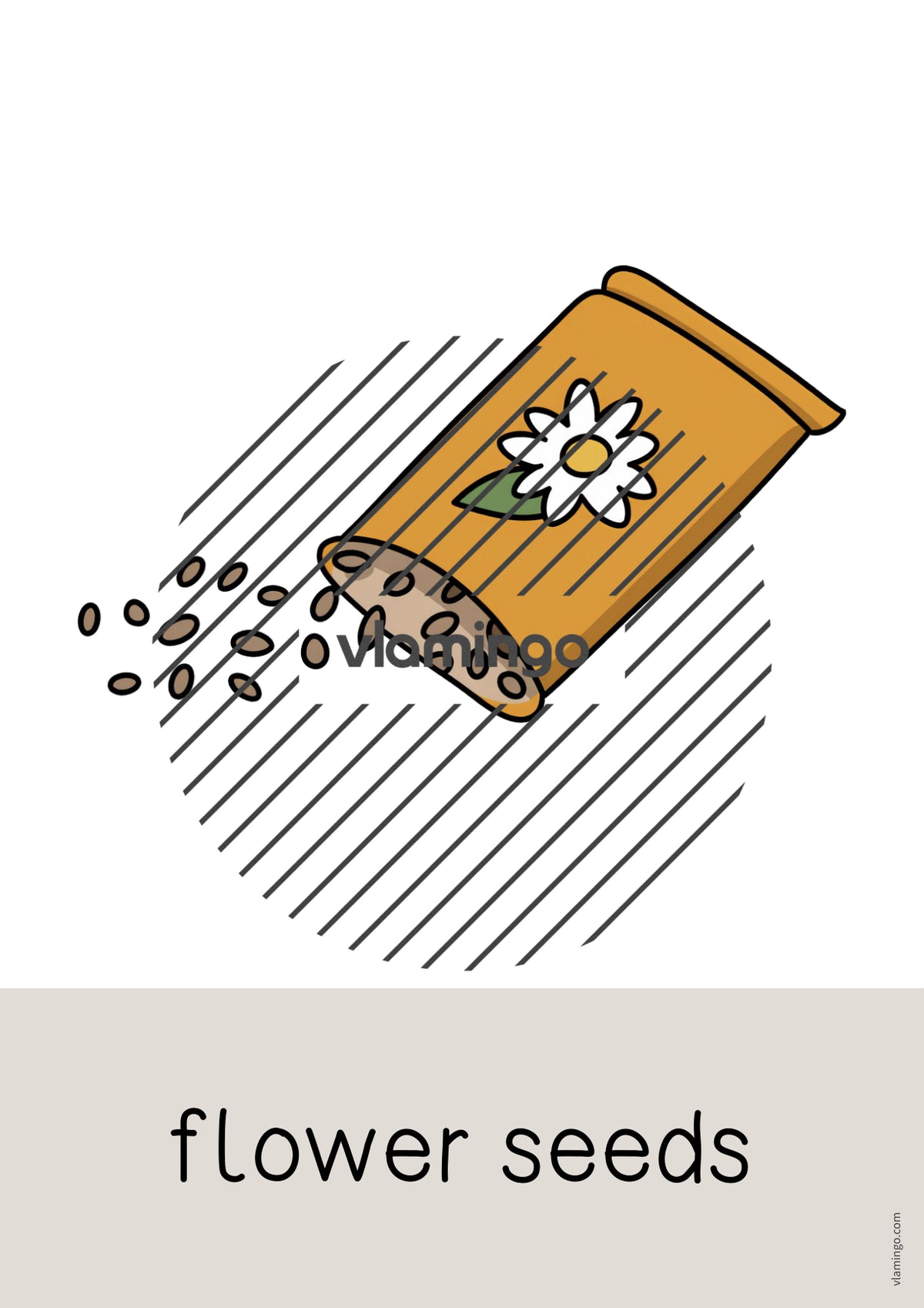 de englisch spring word and picture cards 020