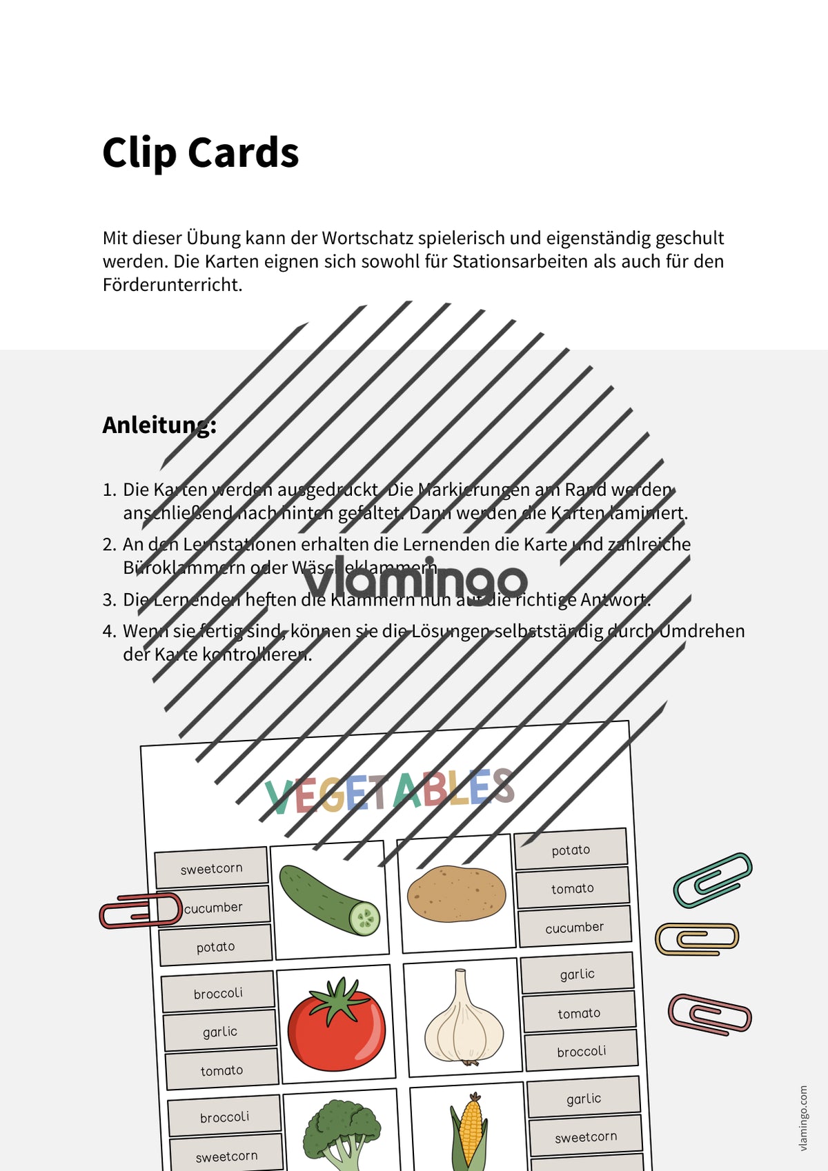de englisch vegetables clip cards 002