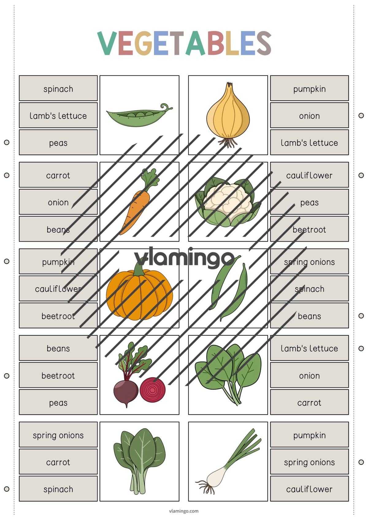 de englisch vegetables clip cards 004